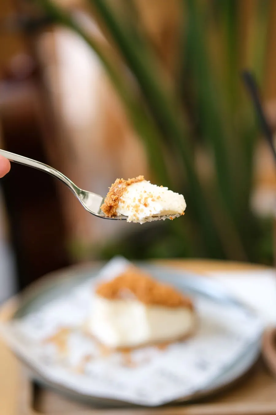 Fıstıklı cheesecake